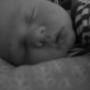 Suzanne Watkins Photo 34
