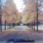 Carl Carlson Photo 29
