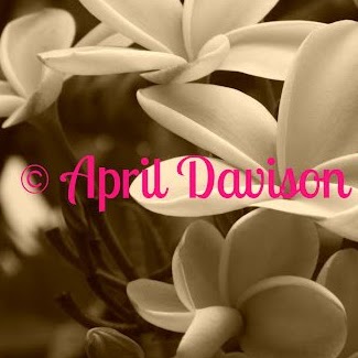 April Davison Photo 37