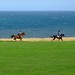 David Gallops Photo 3