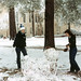 Bonnie Brown Photo 13