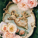 Cynthia Bare Photo 7