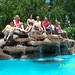 Debra Libby Photo 24