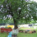Grace Byrd Photo 20