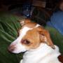 Debra Mitchell Photo 39