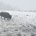 Kelly Snow Photo 39