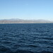 Barbara Goos Photo 5