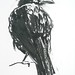 Peter Gilbert Photo 19