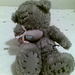 Teddy Quick Photo 11