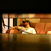 Allen Adger Photo 9