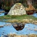 Mitchell Stone Photo 15