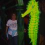 Debbie Lindquist Photo 14