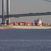 Thomas Kline Photo 41
