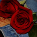 Jean Rose Photo 30