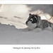 Michelle Wolf Photo 33