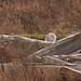 Brian Maskell Photo 10