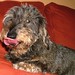 Marcie Wiener Photo 5