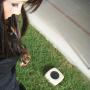 Sara Sanders Photo 4