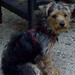 Andy Huston Photo 11