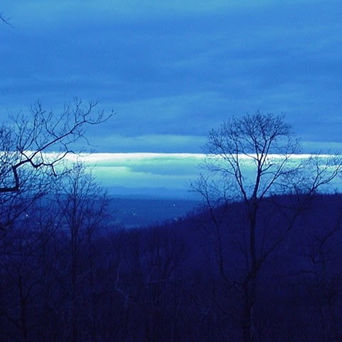 Susan Lovelady Photo 1