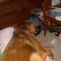 Ann Pearson Photo 35