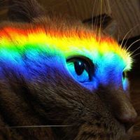 Kelly Newcom Photo 8