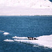 Lawrence Seals Photo 24