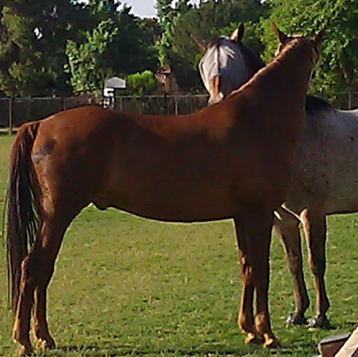 Judy Petersen Photo 11
