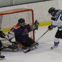 Matthew Halverson Photo 11