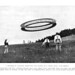 Graham Bell Photo 49