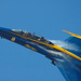 Greg Tomlinson Photo 26