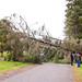 Chad Graham Photo 41