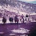Nancy Schaffer Photo 30