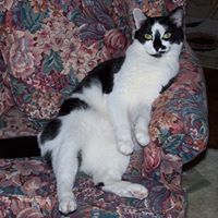 Barbara Waddill Photo 5