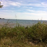 Debbie Mckittrick Photo 3