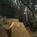 Marcus Inman Photo 8