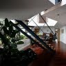 David Dow Photo 8