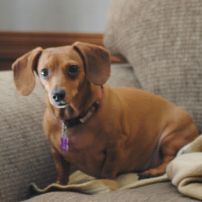 Sandy Yates Photo 4
