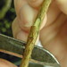 John Griffis Photo 10