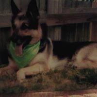 Tammy May Photo 24