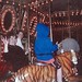 Rosemarie Summers Photo 10