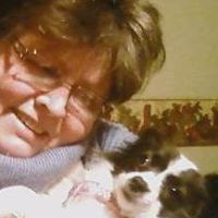 Donna Reinhart Photo 12