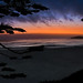 David Hollister Photo 34