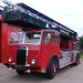 Dennis Metz Photo 17