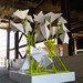 Jerry Bloom Photo 26