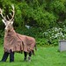 Sara Shelton Photo 29