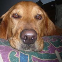 Julie Hardesty Photo 15