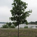 Jeffery Peck Photo 2