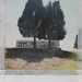 Virginia Allison Photo 29