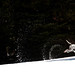 Richard Lair Photo 11